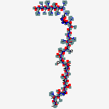 FOXO4-DRI molecular structure