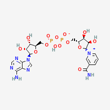 NAD+ molecular structure