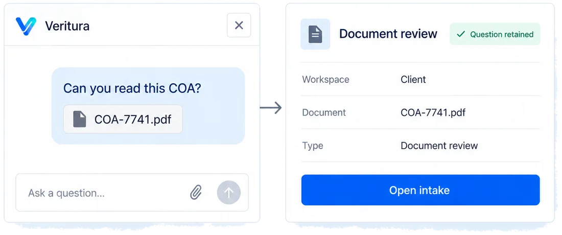 The partner identifies a document question: a designed view of the Veritura workspace